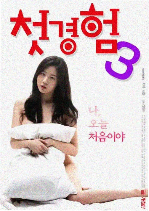 少年派1电视剧免费版在线播放 第1集
